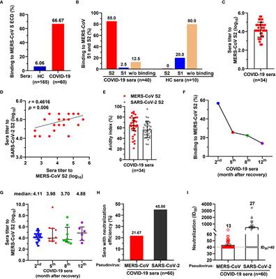 Monoclonal antibodies constructed from <mark class="highlighted">COVID</mark>-19 convalescent memory B cells exhibit potent binding activity to MERS-CoV spike S2 subunit and other human <mark class="highlighted">coronavirus</mark>es